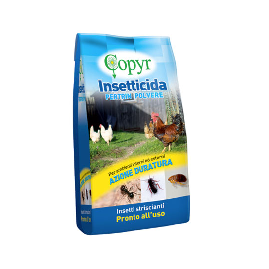 INSETTICIDA FORMICHE POLVERE 1 KG