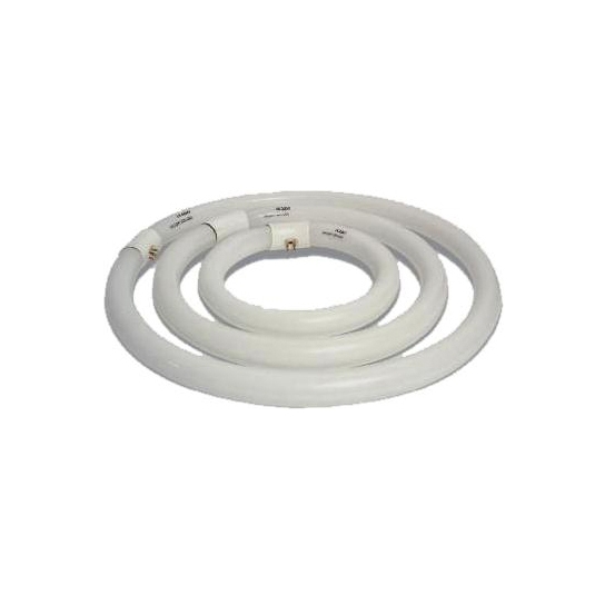 LAMPADA NEON CIRCOLINA TRIFOSFORO T9